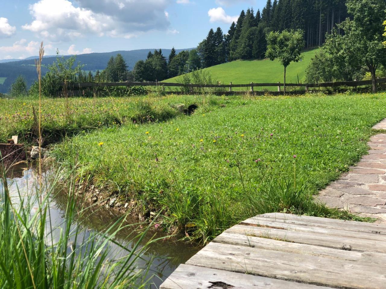 Villa Waldheimathuette Sankt Kathrein am Hauenstein Esterno foto