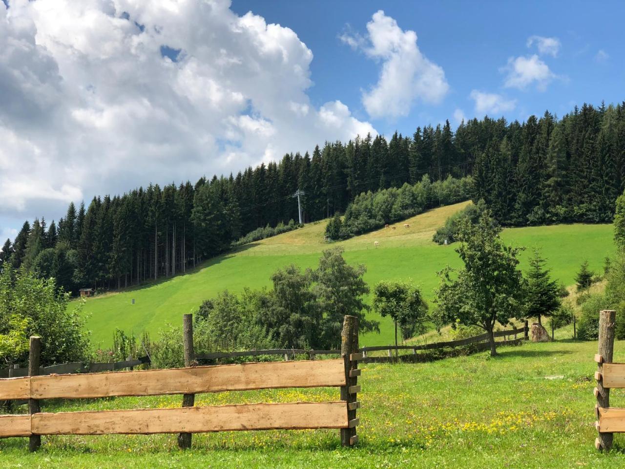 Villa Waldheimathuette Sankt Kathrein am Hauenstein Esterno foto